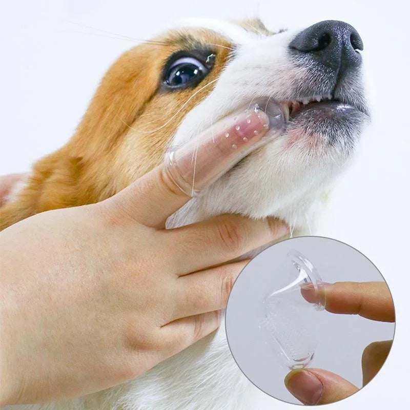 Soft Silicone Finger Toothbrush for Dogs – Gentle Teeth & Tartar Care