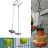 Stainless Steel Parrot Fruit Skewer