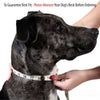 A dog's neck is being measured with a tape measure to ensure a custom-fit PU leather dog collar.
