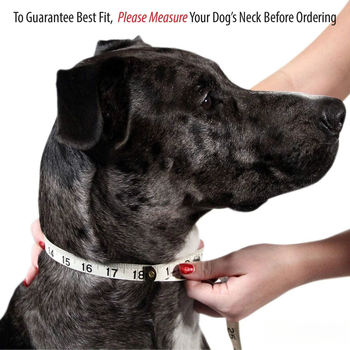 A dog's neck is being measured with a tape measure to ensure a custom-fit PU leather dog collar.