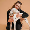 Handcrafted Colorful Striped Dog Collar