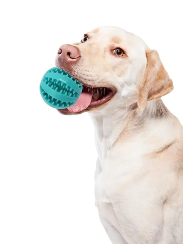 Pelota Interactiva Dispensadora de Premios para Perros