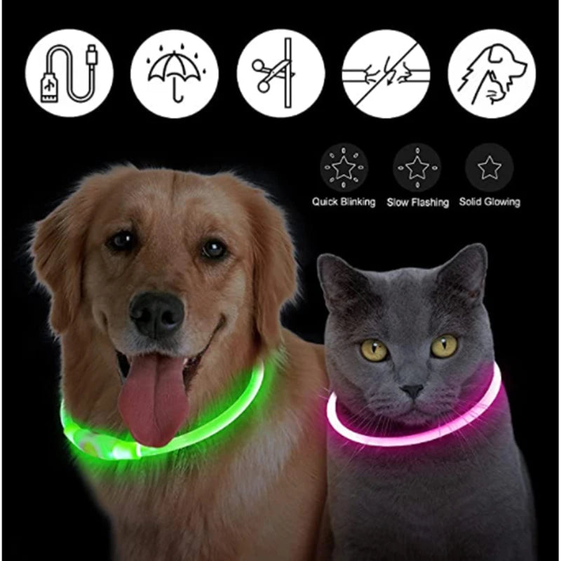 A golden retriever and a gray cat wearing glowing pet safety light collars.