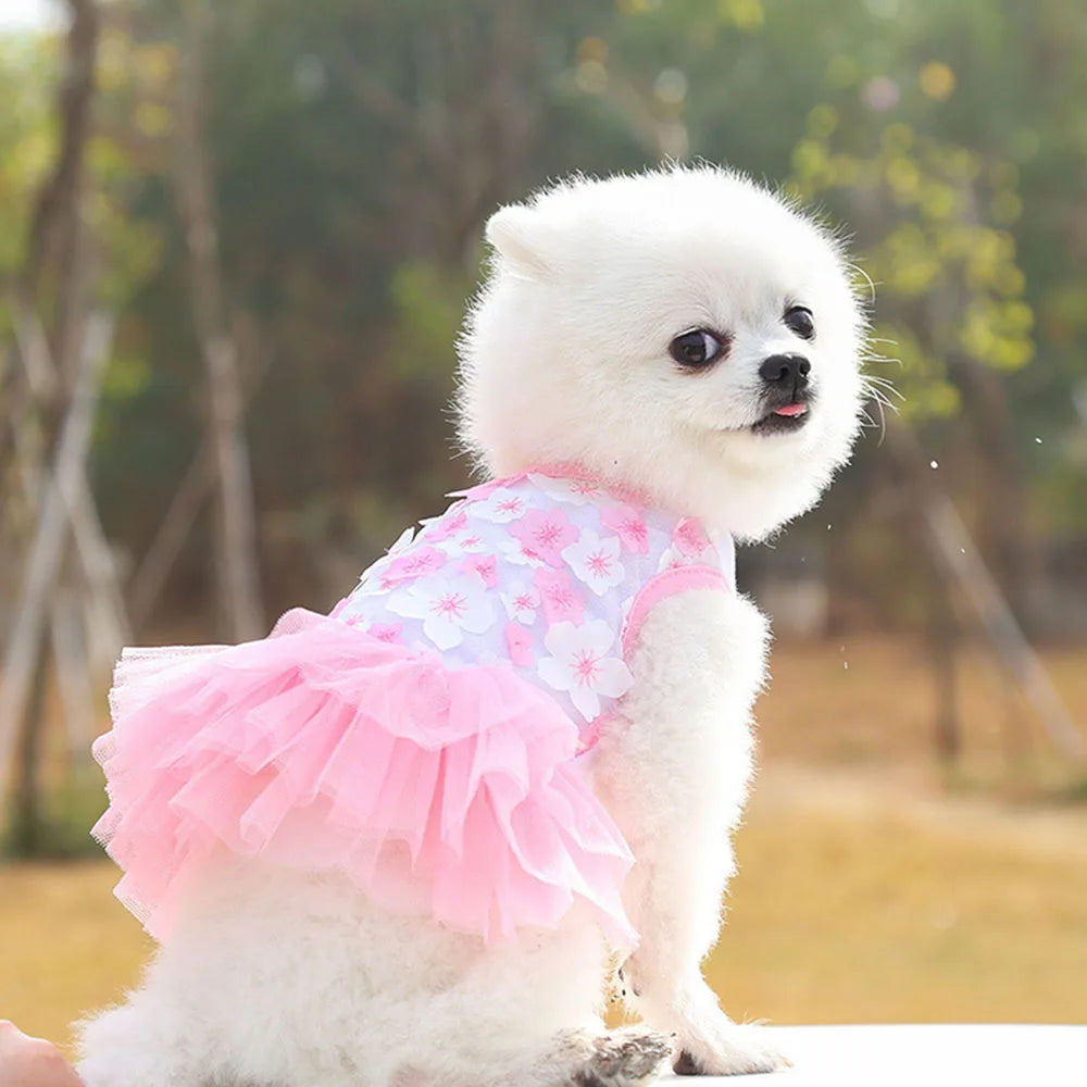 Un chien blanc portant une robe en mousseline de dentelle florale rose, à l'extérieur.