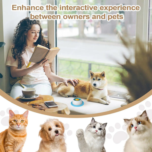A woman interacts with a dog and several cats in a bright room, suggesting an interactive experience between owners and pets.