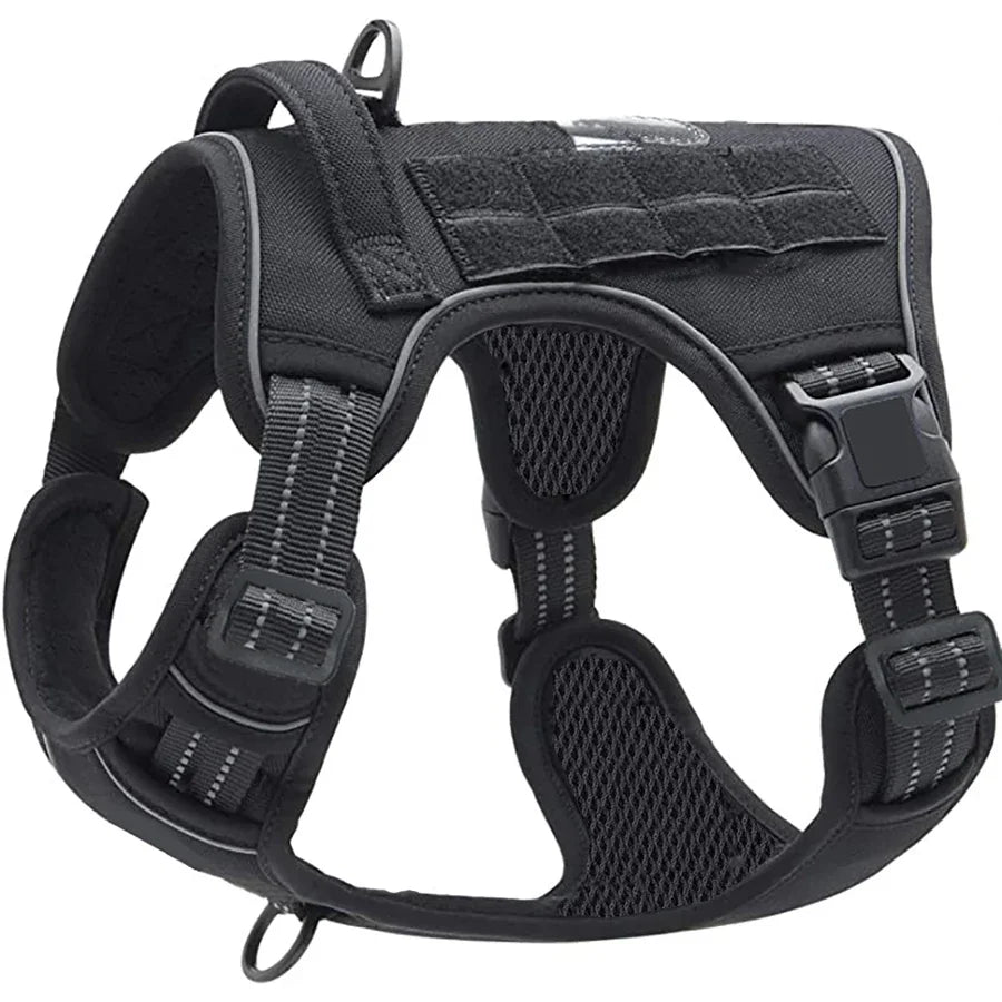 Schwarzes taktisches Hundehalsband für sichere Kontrolle.