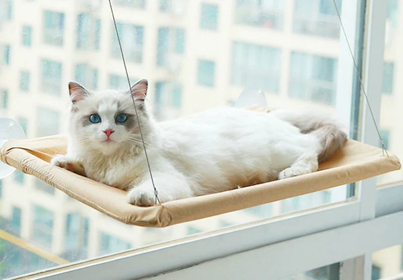 Hamac Lit pour Chat à Poser sur la Fenêtre