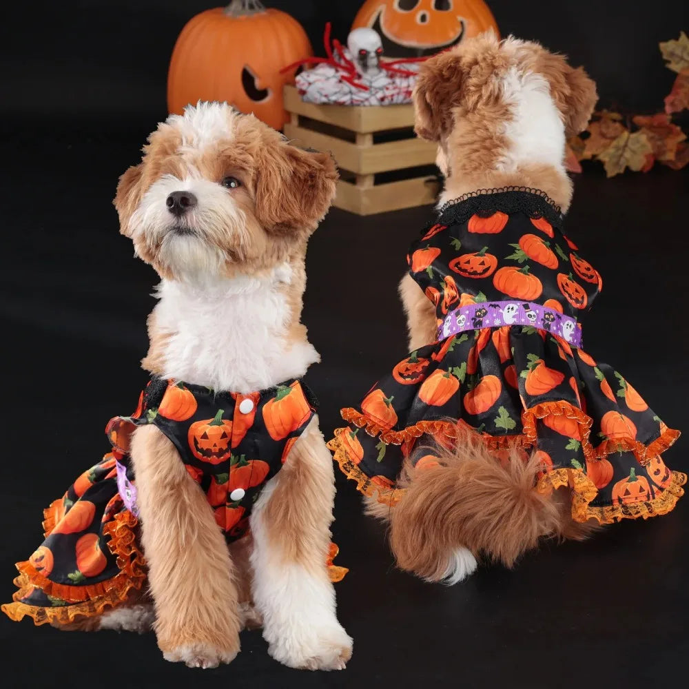 Pumpkin Lace Dog Dress for Small Dogs