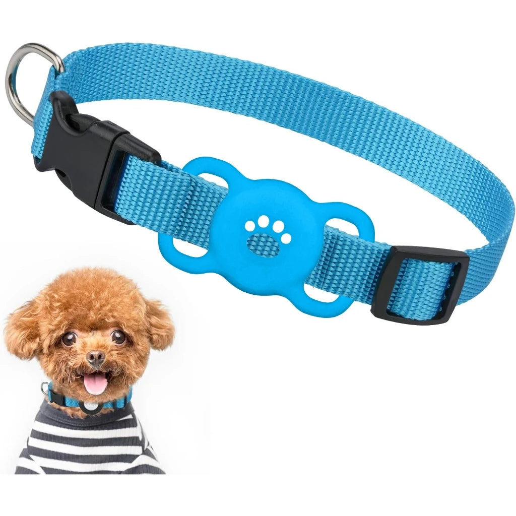 Blauer Silikon-AirTag-Halterriemen an einem schwarzen Halsband neben einem kleinen braunen Hund.