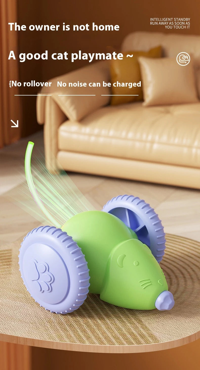 Smarter, Hindernisse vermeidender elektrischer Katzentoys