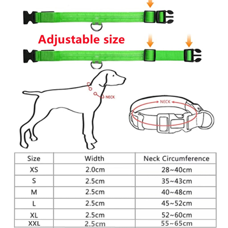 USB Charging Glowing Dog Collar with Pendant - Night Safety