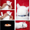 Reflective Cat Collar with Detachable Bell