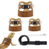 Set aus braunem Leder: Verstellbare Leine und Geschirr für Reptilien, inklusive Halsband und Gurt.