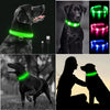 USB Charging Glowing Dog Collar with Pendant - Night Safety