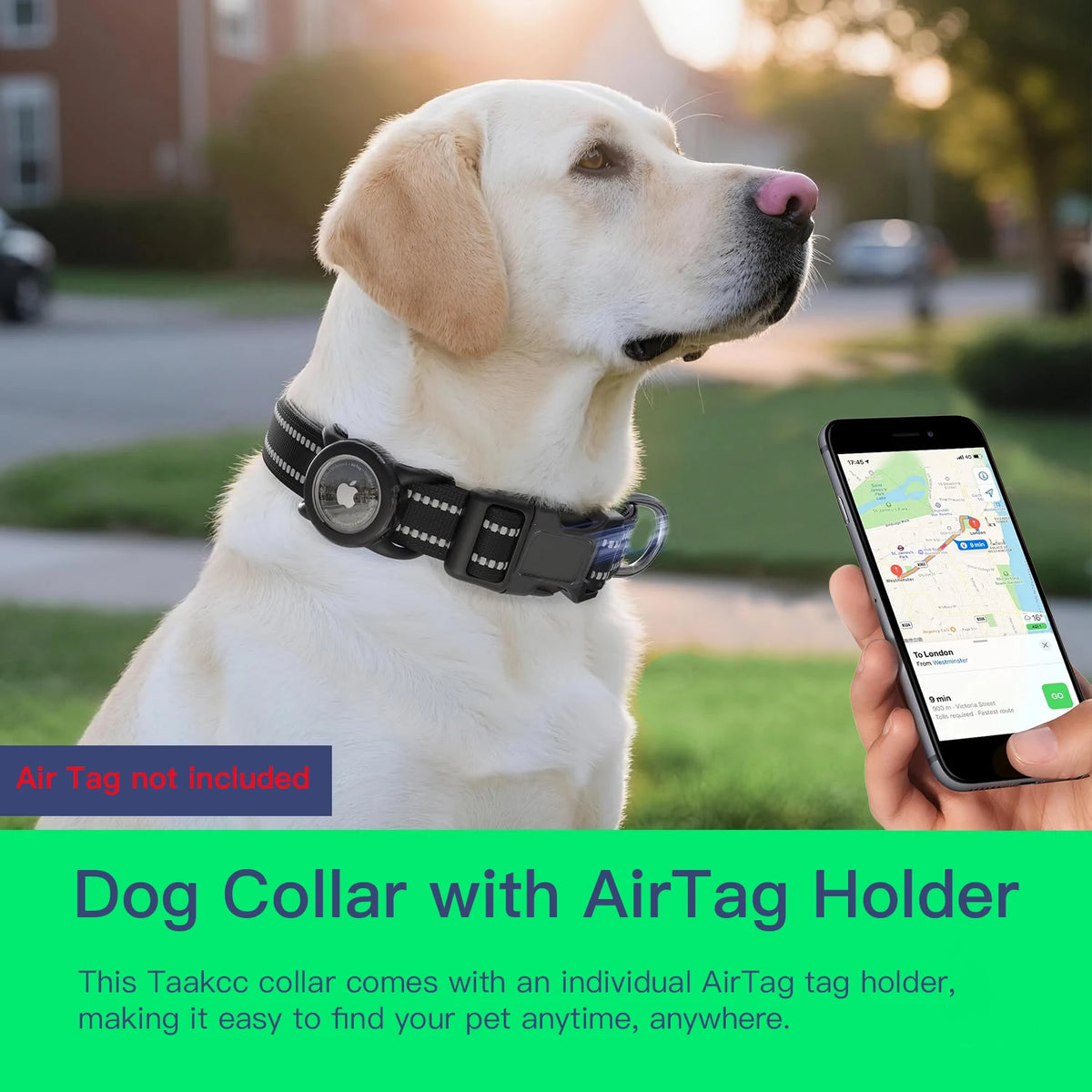A golden retriever wearing a black dog collar with an AirTag holder, held by a person outdoors.