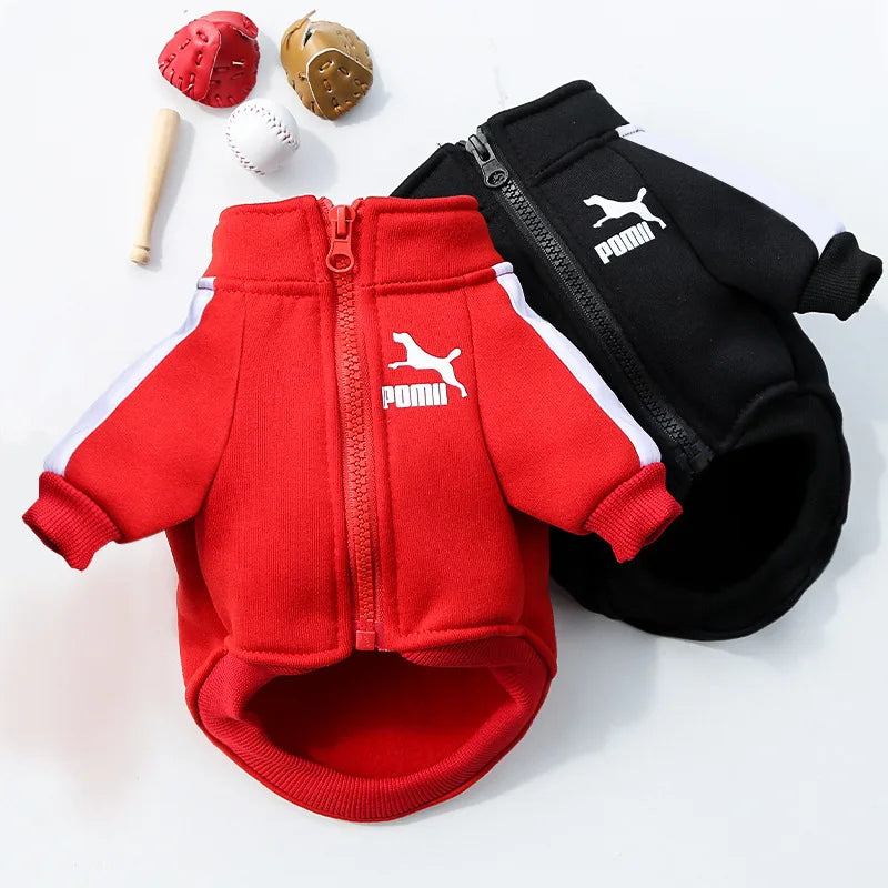 Chaqueta de Béisbol para Perros
