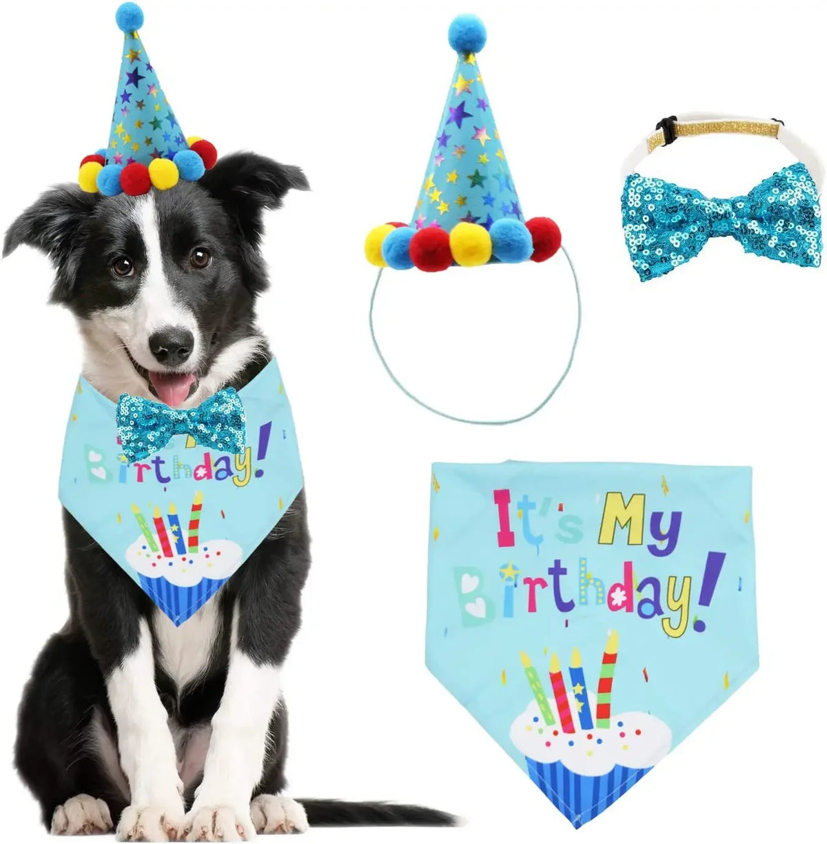 Ein schwarz-weißes Hundekleid in Geburtstagsoutfit mit Kragen und Schleife.