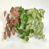 Realistic Artificial Ivy Hanging Plant for Wall Decor