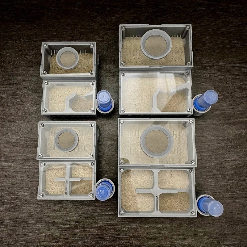 مزرعة النمل ذات الأربع أقسام مع غرف مستقلة