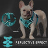 Adjustable No-Pull Dog Harness with Reflective Leash Set