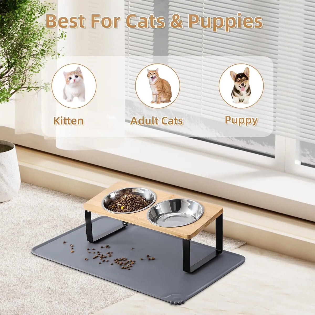Elevated stainless steel cat bowls with a food mat stand for two dishes shown in a bright room.