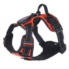Rechargeable LED Dog Harness with Reflective Strips