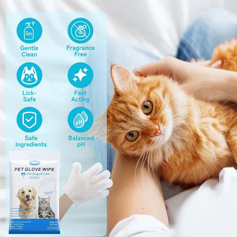 A package of Pet Glove Wipes for dogs and cats is shown next to a ginger cat being gently held.