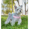A fluffy gray dog wearing a pink harness standing in green grass outdoors.