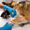 Extra-Long Double-Tipped Cotton Swabs for Pet Ear Care