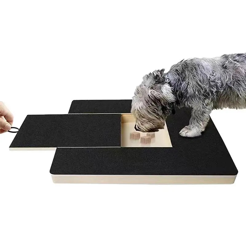 Un perro gris olfateando una tabla de clavos de madera con una caja de premios encima.