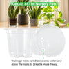 Clear Plastic Nursery Pots with Drainage Holes (Pack of 30)