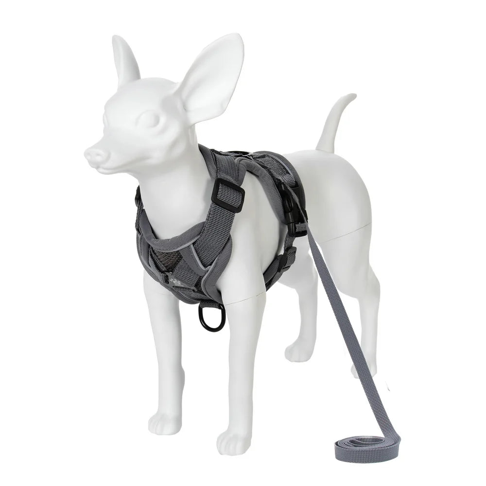A white pet harness with a dark gray strap and leash is shown against a white background.