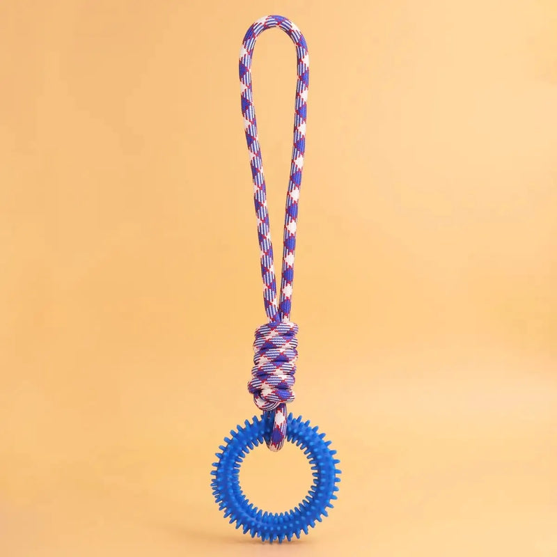 Supet Interactive Training Ring Toy for Dogs