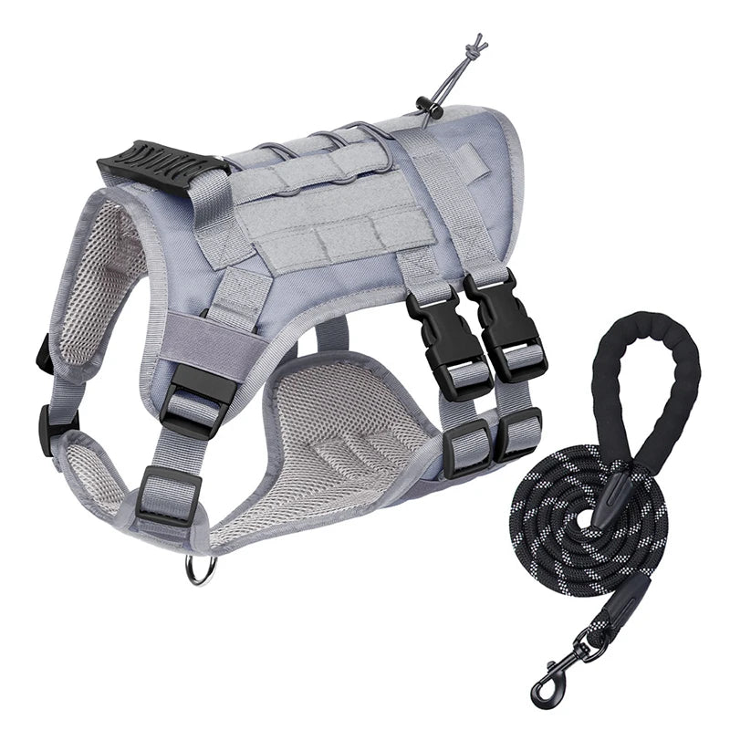 Gray heavy-duty dog harness and leash set with buckles and a snap hook.
