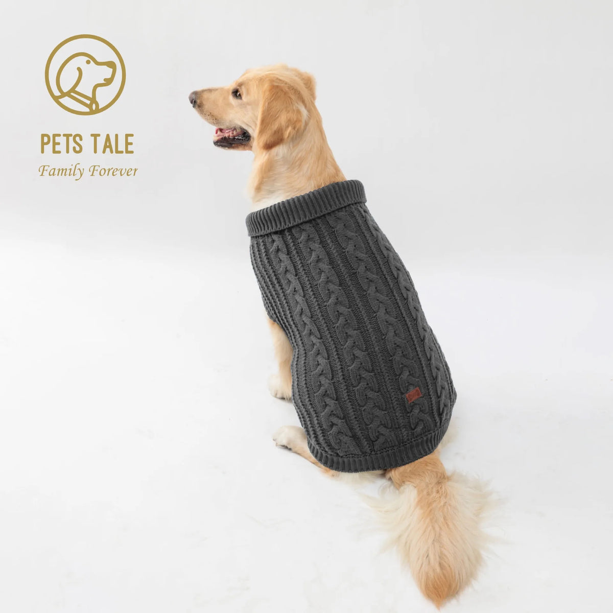A tan dog wearing a dark gray knitted sweater for winter apparel.