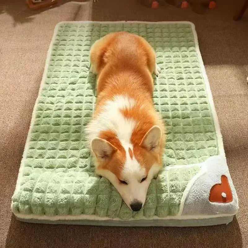 Orthopedic Memory Foam Dog Bed with Removable Washable Cover