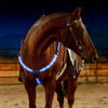 Nylon-LED-Halftergeschirr mit USB-Ladung