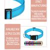 Verstellbares Nylon-Hundehalsband für kleine bis große Rassen