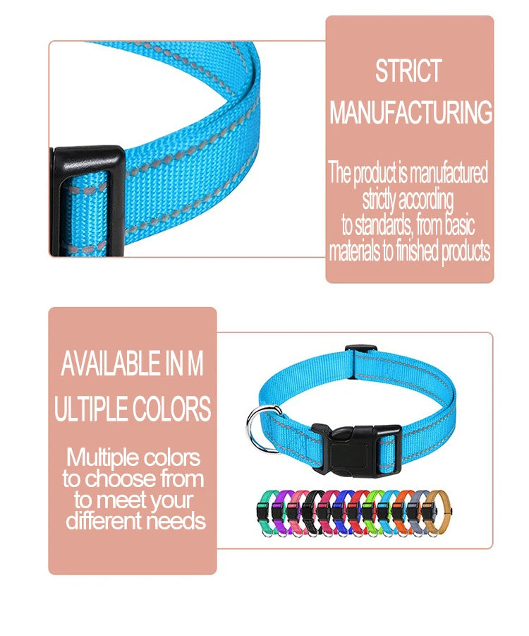 Decorative Nylon Dog Collar with Buckle Closure