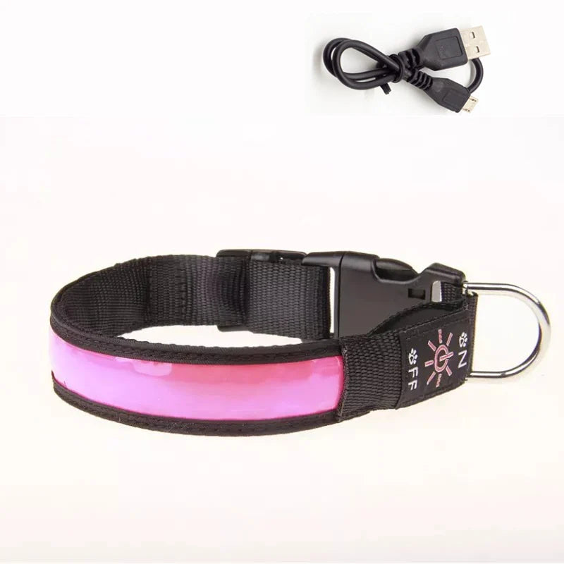 A black dog collar with a pink LED glow band and a USB charging connector.