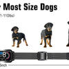 Collier Anti-Aboiements Rechargeable pour Chien