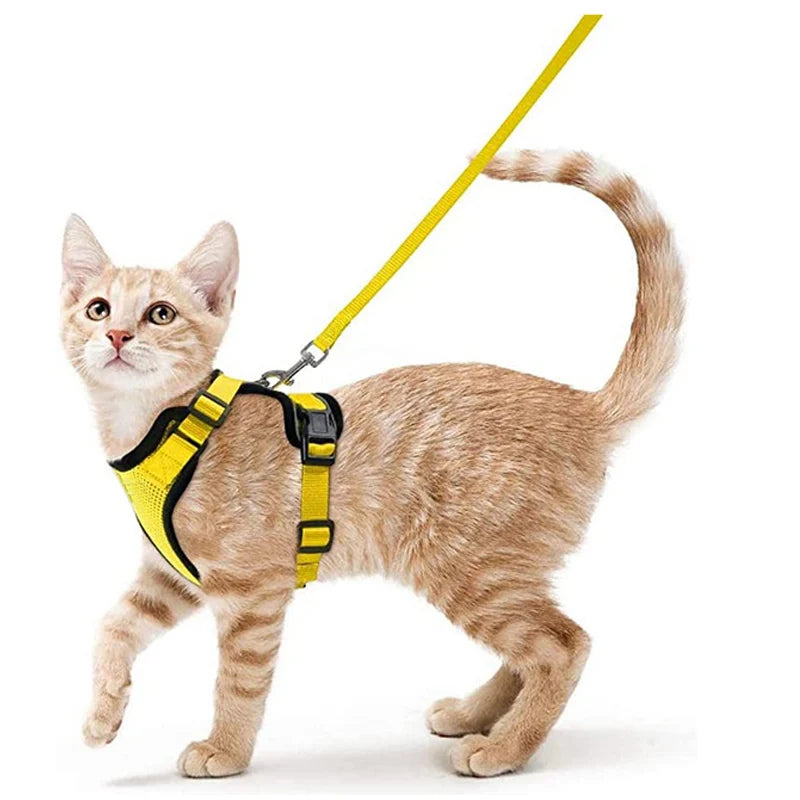 Ausbruchssicherer Katzen-Geschirr mit Leine