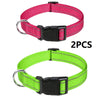 Decorative Nylon Dog Collar with Buckle Closure