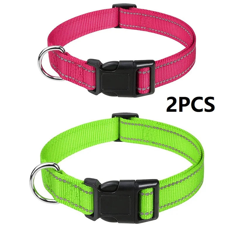Decorative Nylon Dog Collar with Buckle Closure