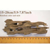 A piece of natural shrimp wood aquarium driftwood with irregular holes, shown next to a ruler.
