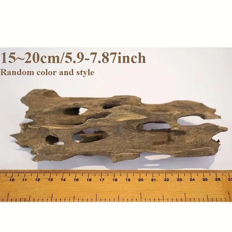 A piece of natural shrimp wood aquarium driftwood with irregular holes, shown next to a ruler.