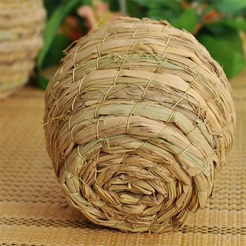 A tightly woven, spherical bird nest made from natural straw fibers.
