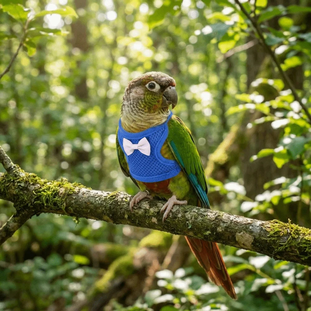 A green parrot wearing a blue flying harness perched on a mossy branch in a lush forest.