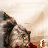 Ceramic Slow Feeder Bowl for Cats and Small Dogs
