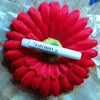 Colorful Soft Silicone Nail Caps for Cats and Dogs with Adhesive